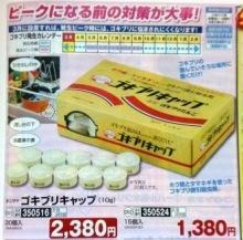 ゴキが出た！助けて(切実)