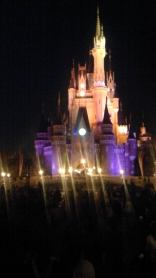 ﾃﾞｨｽﾞﾆｰﾗﾝﾄﾞ＆ｼｰ【写真】