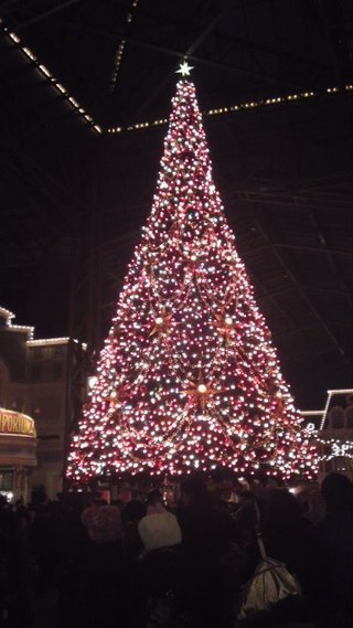 ﾃﾞｨｽﾞﾆｰﾗﾝﾄﾞ＆ｼｰ【写真】