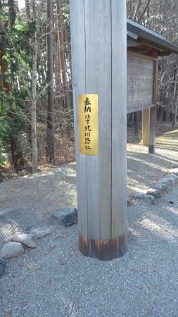 ゆず北川と高島彩が極秘挙式！！