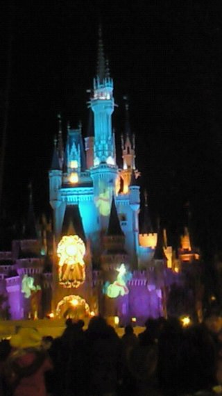 ﾃﾞｨｽﾞﾆｰﾗﾝﾄﾞ＆ｼｰ【写真】