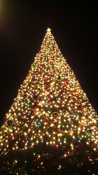 ﾃﾞｨｽﾞﾆｰﾗﾝﾄﾞ＆ｼｰ【写真】