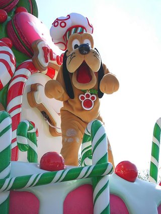 ﾃﾞｨｽﾞﾆｰﾗﾝﾄﾞ＆ｼｰ【写真】