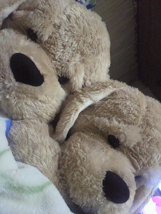 コストコに行く人&#x{11:F995};