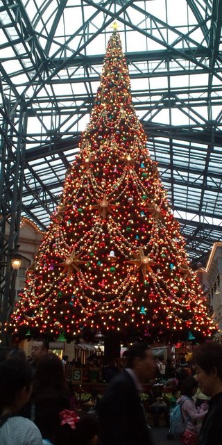 ﾃﾞｨｽﾞﾆｰﾗﾝﾄﾞ＆ｼｰ【写真】