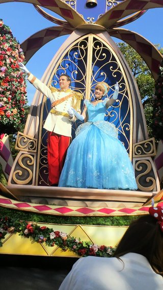 ﾃﾞｨｽﾞﾆｰﾗﾝﾄﾞ＆ｼｰ【写真】