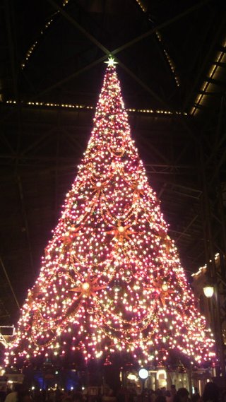 ﾃﾞｨｽﾞﾆｰﾗﾝﾄﾞ＆ｼｰ【写真】