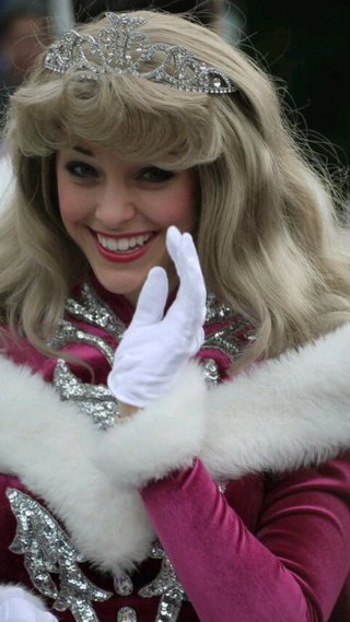 ﾃﾞｨｽﾞﾆｰﾗﾝﾄﾞ＆ｼｰ【写真】