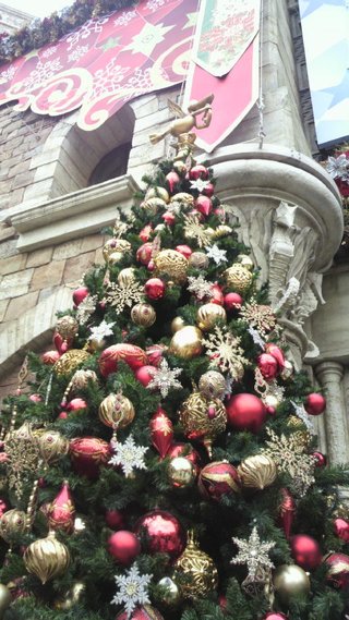 ﾃﾞｨｽﾞﾆｰﾗﾝﾄﾞ＆ｼｰ【写真】