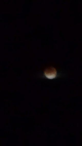 ２０１１/１２/１０○皆既月食○