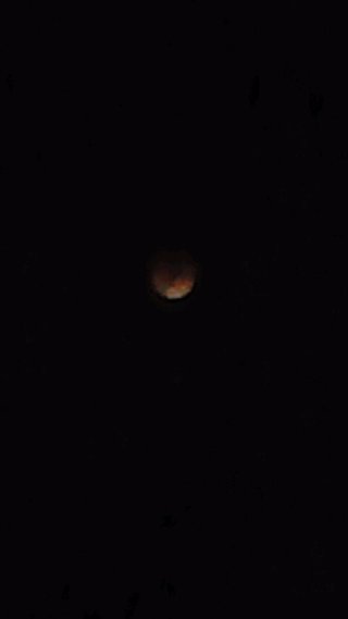 ２０１１/１２/１０○皆既月食○