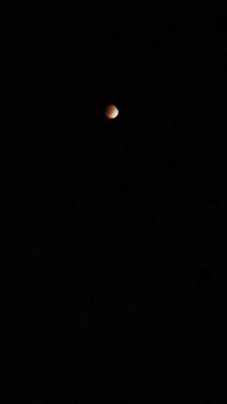 ２０１１/１２/１０○皆既月食○