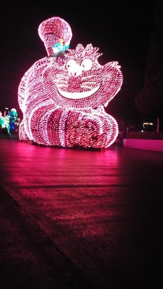 ﾃﾞｨｽﾞﾆｰﾗﾝﾄﾞ＆ｼｰ【写真】