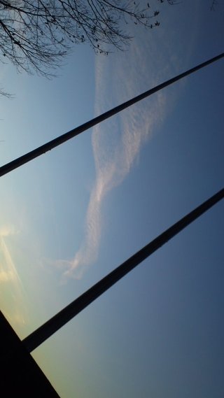 【地震前兆】があったら報告するﾄﾋﾟ