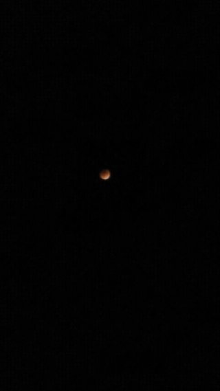 ２０１１/１２/１０○皆既月食○