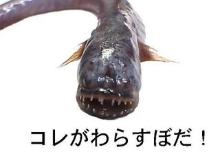 あなたの地元の名産品は？