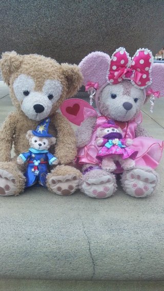 ﾃﾞｨｽﾞﾆｰﾗﾝﾄﾞ＆ｼｰ【写真】