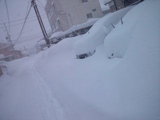雪国に住まなくて良かったと思ってますごめんなさい