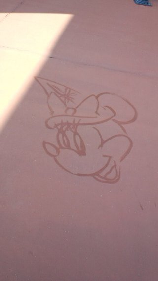 ﾃﾞｨｽﾞﾆｰﾗﾝﾄﾞ＆ｼｰ【写真】