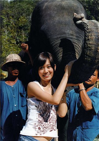 前田敦子ってそんなに可愛い？集計