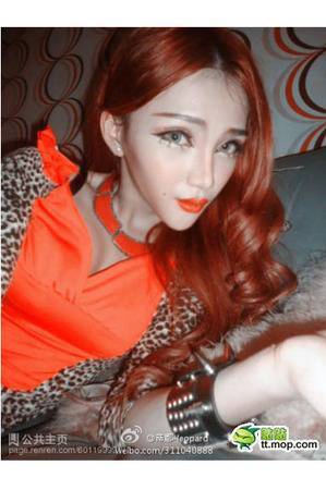 アッコにおまかせ