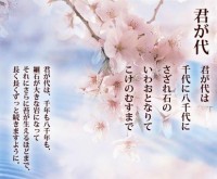 君が代に１週間で２０人不起立　大阪