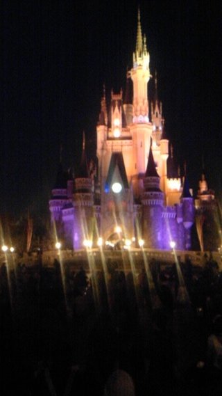 ﾃﾞｨｽﾞﾆｰﾗﾝﾄﾞ＆ｼｰ【写真】