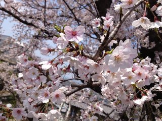 iPhone4sお使いの方！