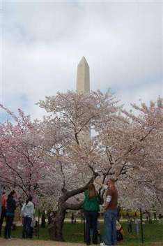 保守ですが何か？