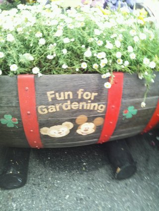 ﾃﾞｨｽﾞﾆｰﾗﾝﾄﾞ＆ｼｰ【写真】