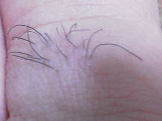 私はおんななの！！女！！