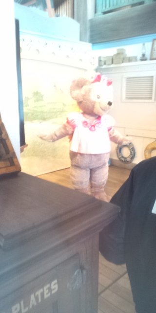 ﾃﾞｨｽﾞﾆｰﾗﾝﾄﾞ＆ｼｰ【写真】