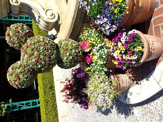 ﾃﾞｨｽﾞﾆｰﾗﾝﾄﾞ＆ｼｰ【写真】