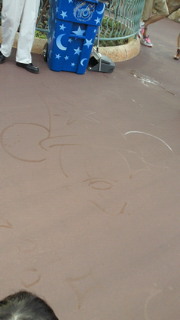 ﾃﾞｨｽﾞﾆｰﾗﾝﾄﾞ＆ｼｰ【写真】