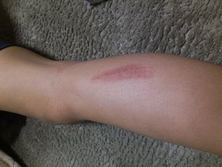 チラ裏in小学生ｶﾃ