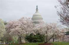 保守ですが何か？