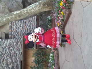 ﾃﾞｨｽﾞﾆｰﾗﾝﾄﾞ＆ｼｰ【写真】