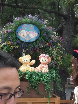 ﾃﾞｨｽﾞﾆｰﾗﾝﾄﾞ＆ｼｰ【写真】