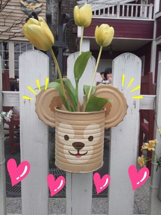 ﾃﾞｨｽﾞﾆｰﾗﾝﾄﾞ＆ｼｰ【写真】