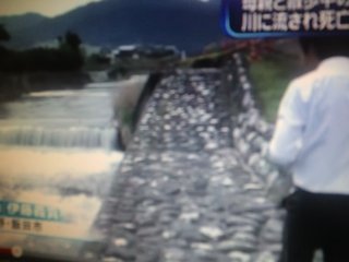 生後２ヵ月の男児、川に流され行方不明(長野県)