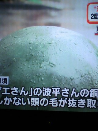 ヒルナンデス!総合