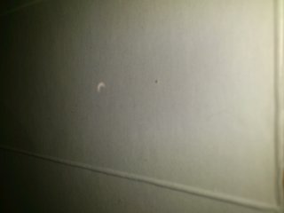 新潟～【総合】～