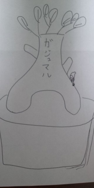 セリア、100均の観葉植物育ててる方☆