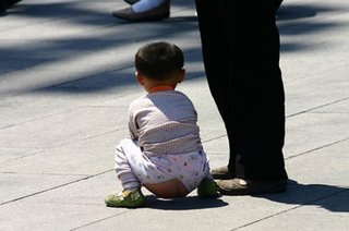 韓国製の海産物の中にヒトの糞便の痕跡が｡