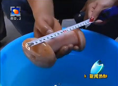 中国―大人の玩具をキノコと報道