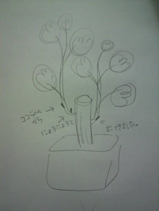 セリア、100均の観葉植物育ててる方☆