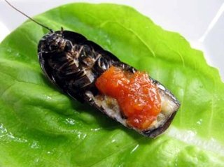 韓国製の海産物の中にヒトの糞便の痕跡が｡