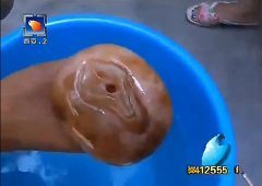 中国―大人の玩具をキノコと報道