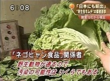 韓国製の海産物の中にヒトの糞便の痕跡が｡