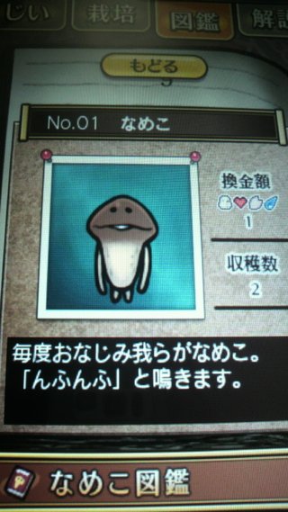 セリア、100均の観葉植物育ててる方☆